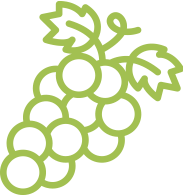 Weintraube Weinverkostung