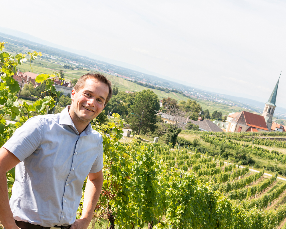 © Weingut Hannes Hofer Weingut Hannes Hofer